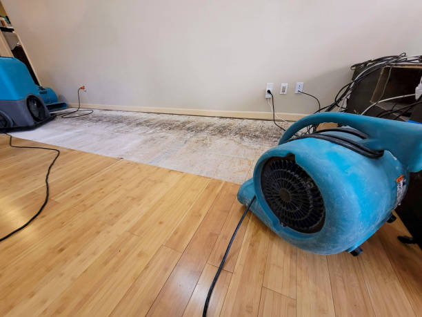 Professional Water Removal technician working in Brethren, MI